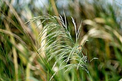 任天堂确定新版NS首发游戏 《旷野之息》《喷射战士2》扩张版